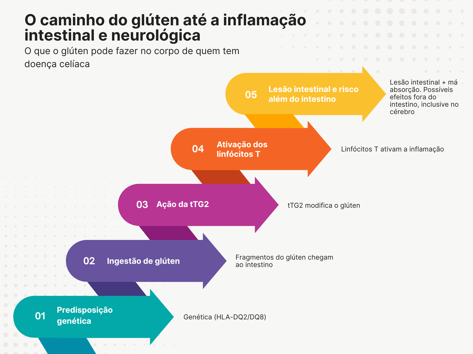 O caminho da neuroinflamação do glúten
