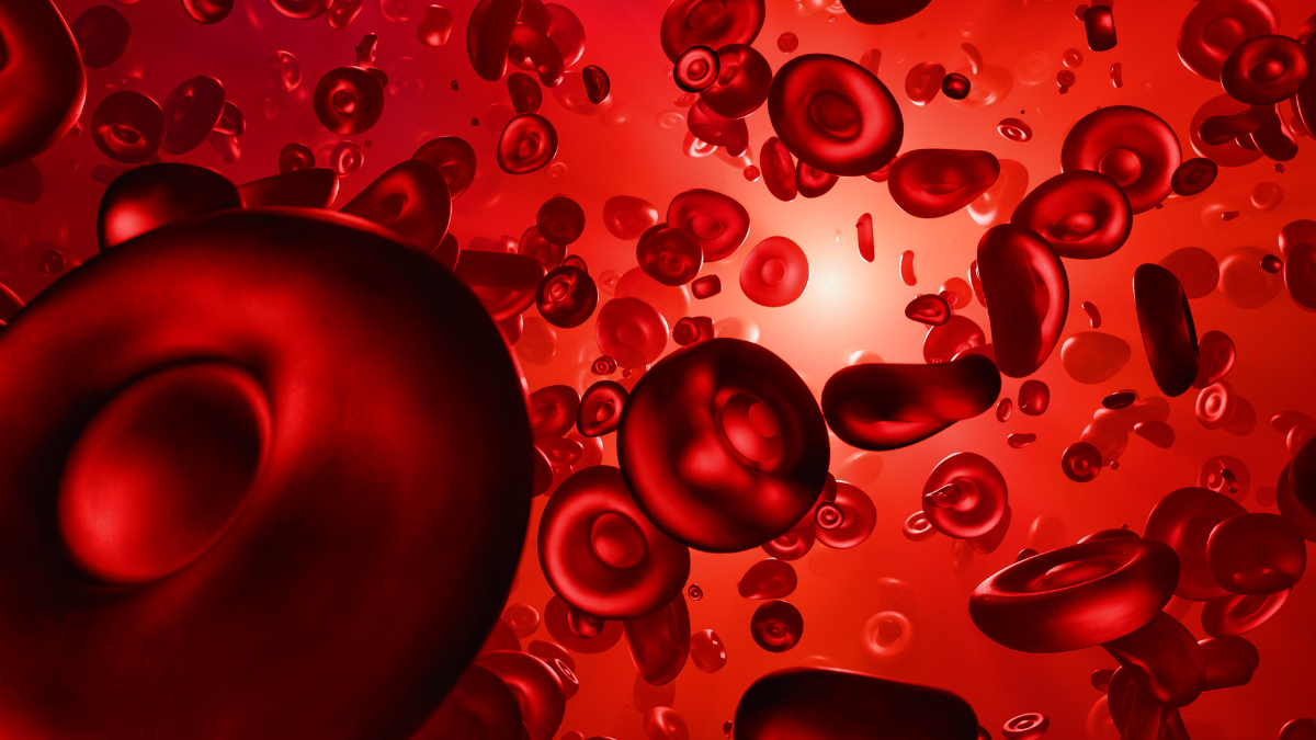 Doença Celíaca e Anemia