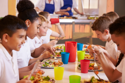 ultraprocessados nas escolas