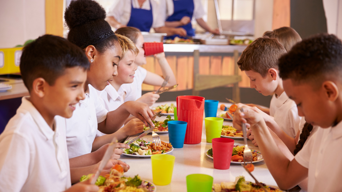 ultraprocessados nas escolas