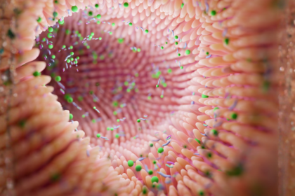 Intestino permeável