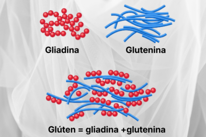 Gliadina e glutenina