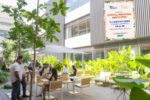 Festival Primavera Sem Glúten